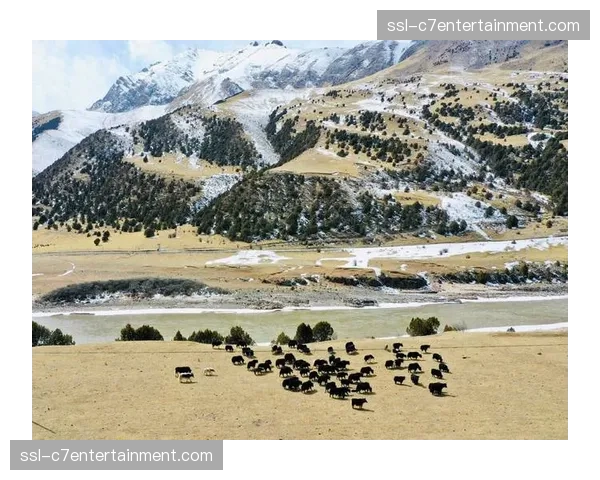 当前阶段赛事组织不仅强调碳中和实现更致力于构建生物多样性友好场域